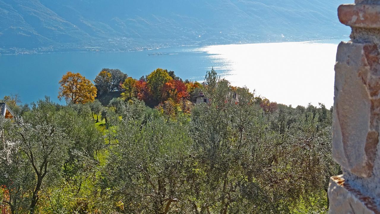 Appartamenti Villa Vagne By Gardadomusmea Tremosine Dış mekan fotoğraf